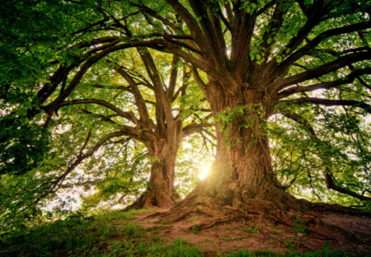 September is Legacy Month